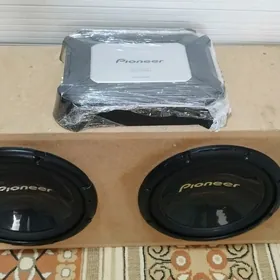 Pioneer Bocka, Usulitel