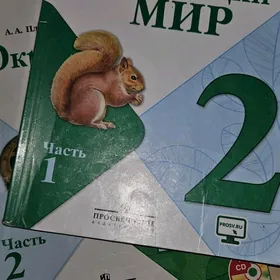 окружающий  мир 2 класс