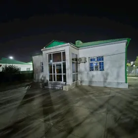 Тазе Заман 1 тапгыр