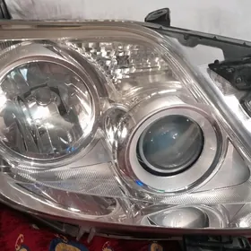 farasy Prado 150 2013