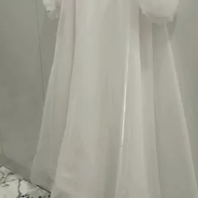 Ak Koynek Zaks üçin