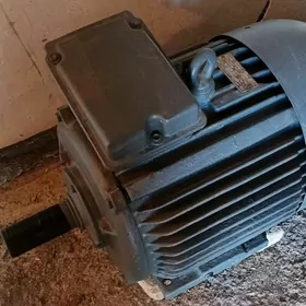 Elektrodwigatel 15kw.a 1500ob.