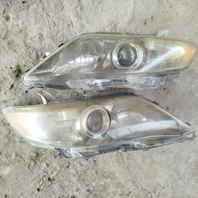 Okuz kelle Americanka far