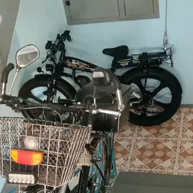 TIGIR  TOKLI  ТИГИР  ТОКЛИ