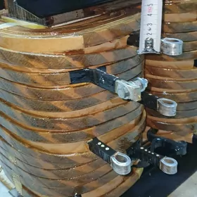 Tok kopeltyan sarym.