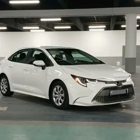Toyota Corolla 2020