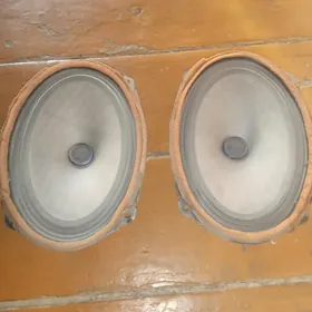 sienna rodnoy kolonka