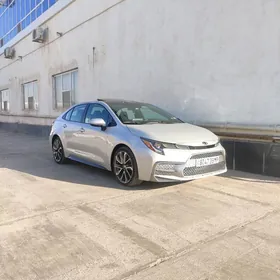 Toyota Corolla 2021