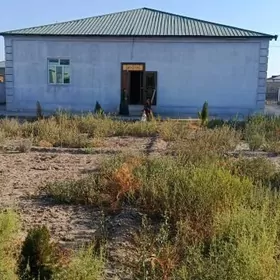 bez hozyayyn howly  jay