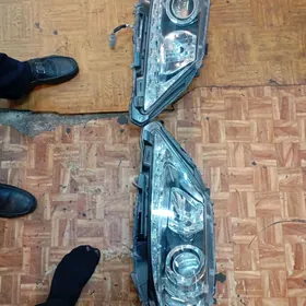 LEXUS 350 FARA MORDA