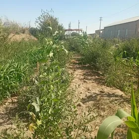 аэропорт дача