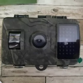 camera foto фотоловушка