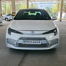 Toyota Corolla 2021