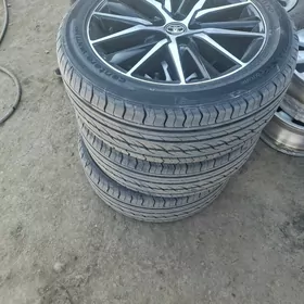 Yewropeyka Camry 18R diska