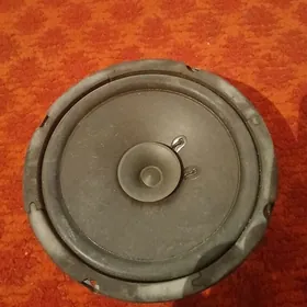 gapy kalonka roadstar