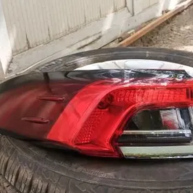 Fara Karolla stopnik cepi