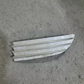 Sienna tumannik kriska 04y