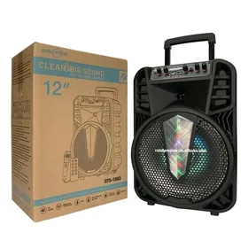 GTS1505 KOLONKA KARAOKE