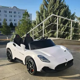 TIGIR MASYN SKEYT PARTA KARŞOK