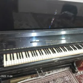 Pianino