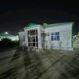 Тазе Заман 1 тапгыр