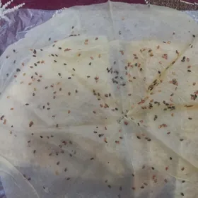 toý çelpek (köymeç)