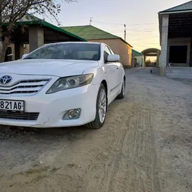 Toyota Camry 2010