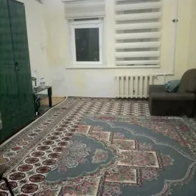 Arenda Komlat Mir 7/1