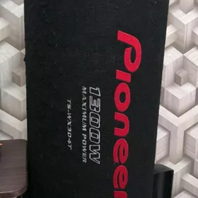 Pioneer 1300 Watt