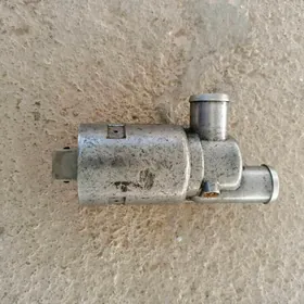 omega a maloabarot daçik