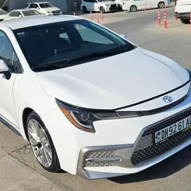 Toyota Corolla 2020