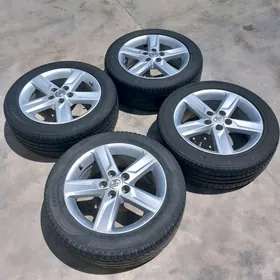 17lik palta disga s arginal