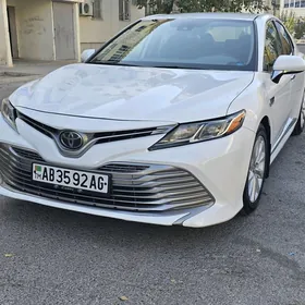 Toyota Camry 2020