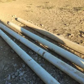 150 lik galyn kawcik turba