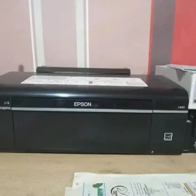 Epson L800 printer