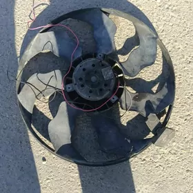 mojek goz wentilyator 6skort