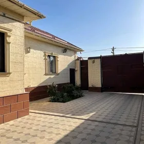 Coganly plan 3 sotak