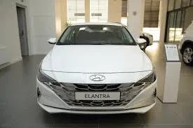 Mertlik Ruhy HJ Gallery 5