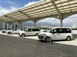 Mertlik Ruhy HJ Gallery 8