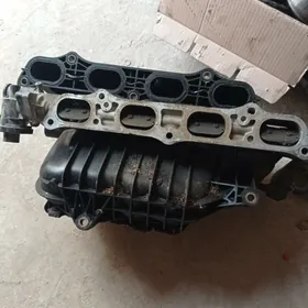 Pauk öküz kelle 2,4