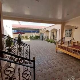 COGANLY KOTEJ 1SWETAFOR CEPDE