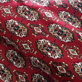 haly халы коаер