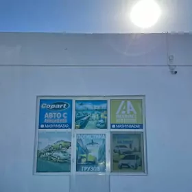 stayanka magazyn arenda