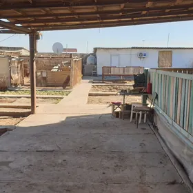 дачный участок