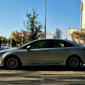 Toyota Corolla 2020