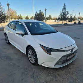 Toyota Corolla 2021