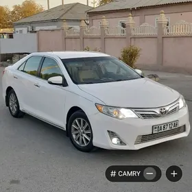 Toyota Camry 2013