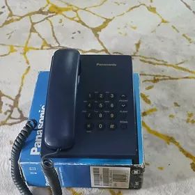 Damaŝny telefon