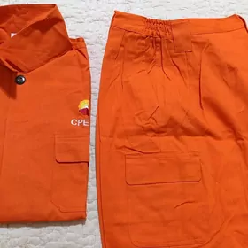 Рабочая форма новая