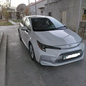 Toyota Corolla 2019